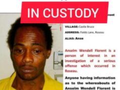 AGGIORNAMENTO: Anselm Wendell Florent è in custodia