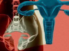 Per la prima volta l’utero di una donna è stato mantenuto in vita fuori dal corpo.