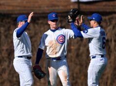 Cubs e Nationals concludono una serie di vittorie consecutive