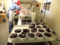 La carne essiccata ha emesso un avviso di salute pubblica