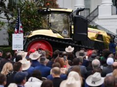 Il deputato repubblicano accusa l’amministratore di Trump di “rifare siti porno”