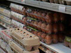 Il giudice respinge la causa dell’amministrazione Trump sui prezzi delle uova in California