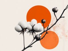 L’oro estende le perdite e tocca il minimo annuale mentre i ribassisti puntano al supporto della SMA a 200 giorni