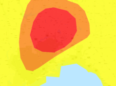 A milioni di persone è stato consigliato di restare in casa in Florida