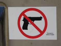 Secondo il nuovo disegno di legge le armi da fuoco saranno bandite dai seggi elettorali