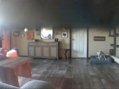 La telecamera per animali domestici cattura il momento in cui un vicino si ferma per salvare un cane da un incendio in casa