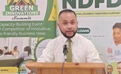 IN DIRETTA ORA: conferenza stampa di Earth Hour 2026