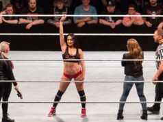 Secondo quanto riferito, la star della WWE Nikki Bella è ferita