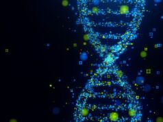 Grandi modelli del genoma: intelligenza artificiale open source addestrata su trilioni di basi