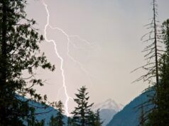 Questa startup afferma di poter prevenire i fulmini e prevenire catastrofici incendi boschivi