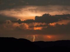 Quanto costa la prevenzione degli incendi boschivi?