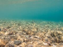 Perforazioni in acque profonde – Ars Technica