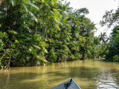 Il giro in canoa in Amazzonia di papà sarà “fantastico” con i bambini: quali sono le prospettive dei film di mamma