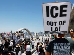 Un manifestante anti-ghiaccio viene sbalzato da un veicolo dopo essere stato affrontato da un agente dell’immigrazione