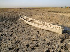 La resistenza agli antibiotici nei microbi aumenta durante la siccità, suggerisce la ricerca