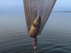 Come guardare Bassmaster Classic 2026: streaming live, canali TV