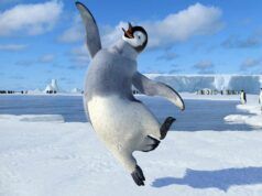 Stanno arrivando i pinguini! Il musical “Happy Foot” sarà realizzato per il palco (esclusivo)