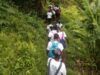 Scopri le meraviglie naturali della Dominica all’HikeFest 2026 – Un’avventura per tutti