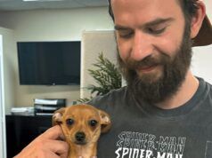 Caso: Google Gemini invia persone in missioni violente, imposta il “conto alla rovescia” per il suicidio