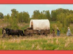 Cast, data di uscita e altro ancora