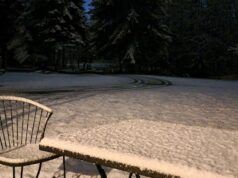 Martedì mattina è stata avvistata neve sul Puget Sound, diverse scuole ritardano l’inizio