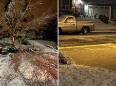 Una leggera neve interrompe il pendolarismo del venerdì nelle pianure del WA