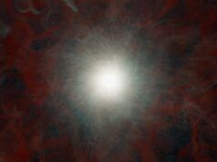 Raccolta di ricerche: sei grandi storie scientifiche che quasi ci siamo persi