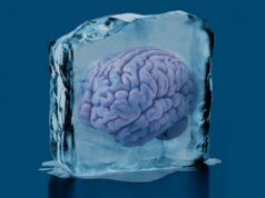 Questo scienziato ha riscaldato e studiato pezzi del cervello crioconservato del suo amico