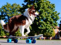 OpenAI prevede di chiudere Sora appena 15 mesi dopo il suo lancio