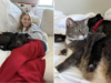 Cuccioli salvati da una vita di combattimenti tra cani trasformati da una donna e dal suo gatto