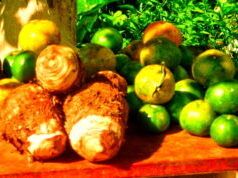 Il Primo Ministro chiede una dieta più sana per ridurre le malattie croniche non trasmissibili in Dominica