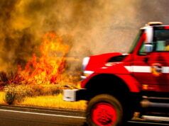 Gli studi dimostrano che le strade portano più incendi nelle foreste; L’USDA vuole più strade per combattere gli incendi