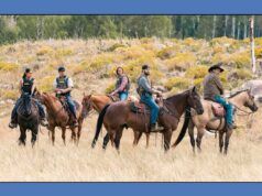 Chi si unirà allo spinoff di “Yellowstone”?