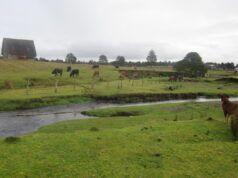 Un sito aborigeno originale potrebbe non essere il primo, ma non ha molta importanza