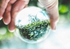 I funzionari dei Caraibi parteciperanno al vertice su clima, energia e finanziamenti allo sviluppo nelle Isole Canarie