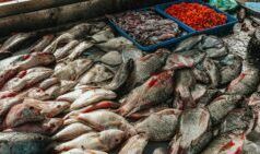 OP-ED: Superare il divieto statunitense sulle esportazioni di pesce di Grenada – Opportunità, sfide e percorsi strategici per la flessibilità commerciale (SRC Trade Thoughts)