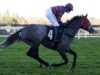 Oggi su Sky Sports Racing: Getawhisky affronta Charisma Cat a Newbury | Notizie sulle corse