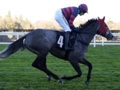 Oggi su Sky Sports Racing: Getawhisky affronta Charisma Cat a Newbury | Notizie sulle corse