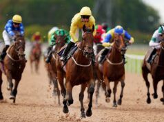 Oggi su Sky Sports Racing: Azione per tutte le stagioni da Southwell | Notizie sulle corse