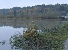 Snoqualmie, i fiumi Tolt hanno raggiunto una fase di piena piena