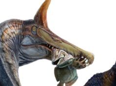 Uno spinosauro simile a un unicorno viene trovato nel Sahara