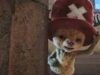 LEGO ha preso in giro una minifigure di Chopper come parte della sua collaborazione con Netflix One Piece