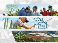 L’ultimo rapporto di IICA e collaboratori esamina le politiche pubbliche necessarie per rimodellare i sistemi agroalimentari e promuovere il progresso economico e sociale