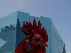 Aruba, tour dei Caraibi con accento olandese