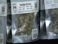 Marijuana medica | Il cambiamento federale sulla classificazione della marijuana suscita reazioni contrastanti