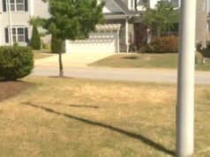 La siccità prolungata costringe le città della Carolina del Nord a limitare l’uso dell’acqua