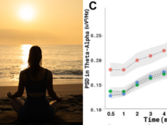 Gli scienziati rivelano quanto tempo è necessario meditare per cambiare il cervello