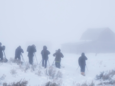 Allarme neve forte, caduta fino a 12 pollici – “condizioni pericolose”