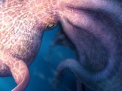 Incontra il Kraken del Cretaceo, alto 19 metri, che nuota con i mosasauri