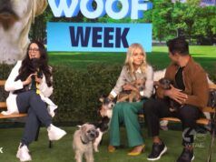 Gli spettatori sussultano mentre i cani fanno la pipì sul set di “Live With Kelly & Mark” durante la trasmissione in diretta